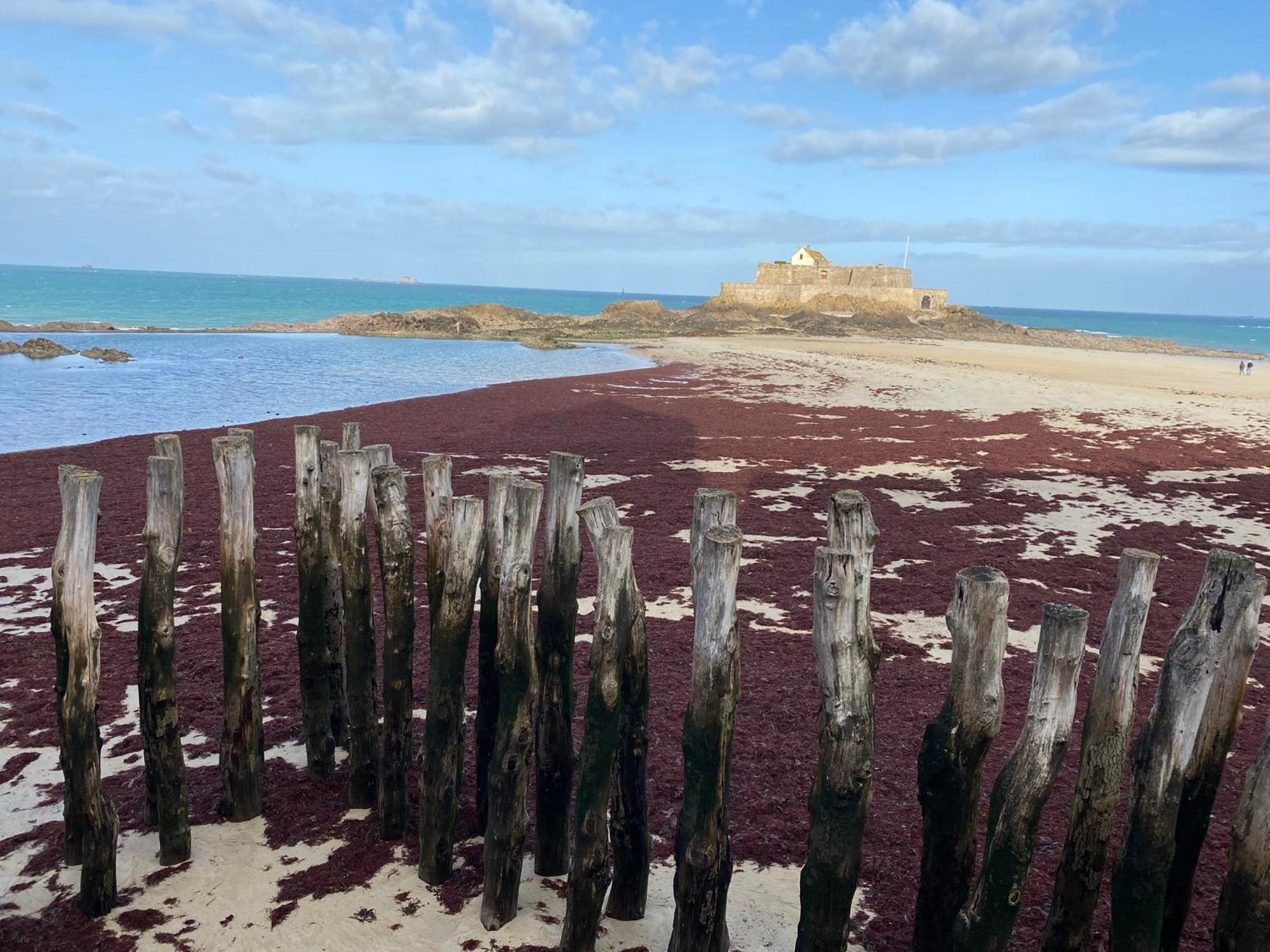 Cherrueix Maison Baie Du Mont Saint-Michel מראה חיצוני תמונה
